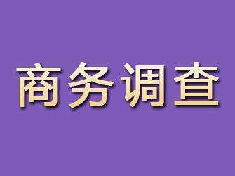 东河商务调查